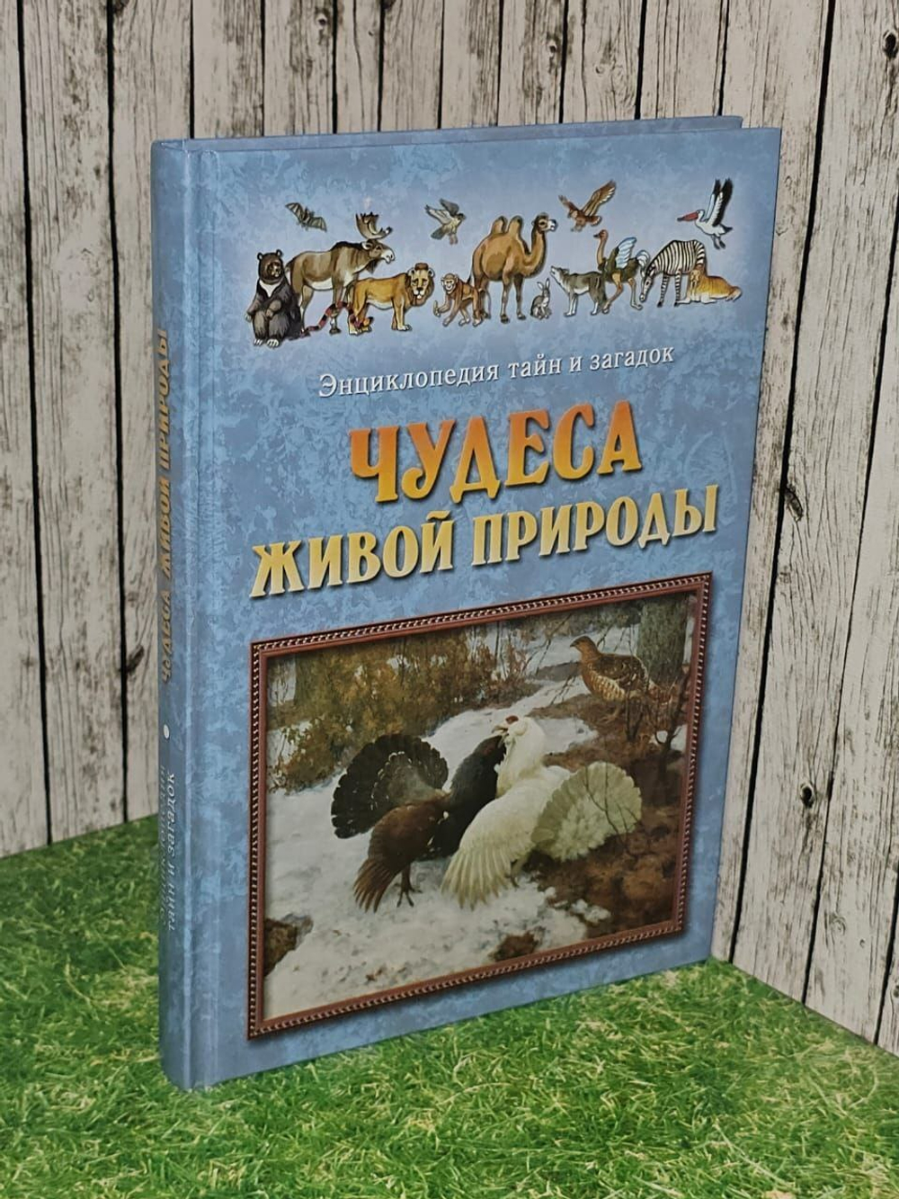 Чудеса живой природы.