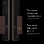 Умный замок Aqara ML-D01D врезной разбл.отпеч.паль./код/пар/NFC/прил/мех.кл 5000mAh бронзовый/черный