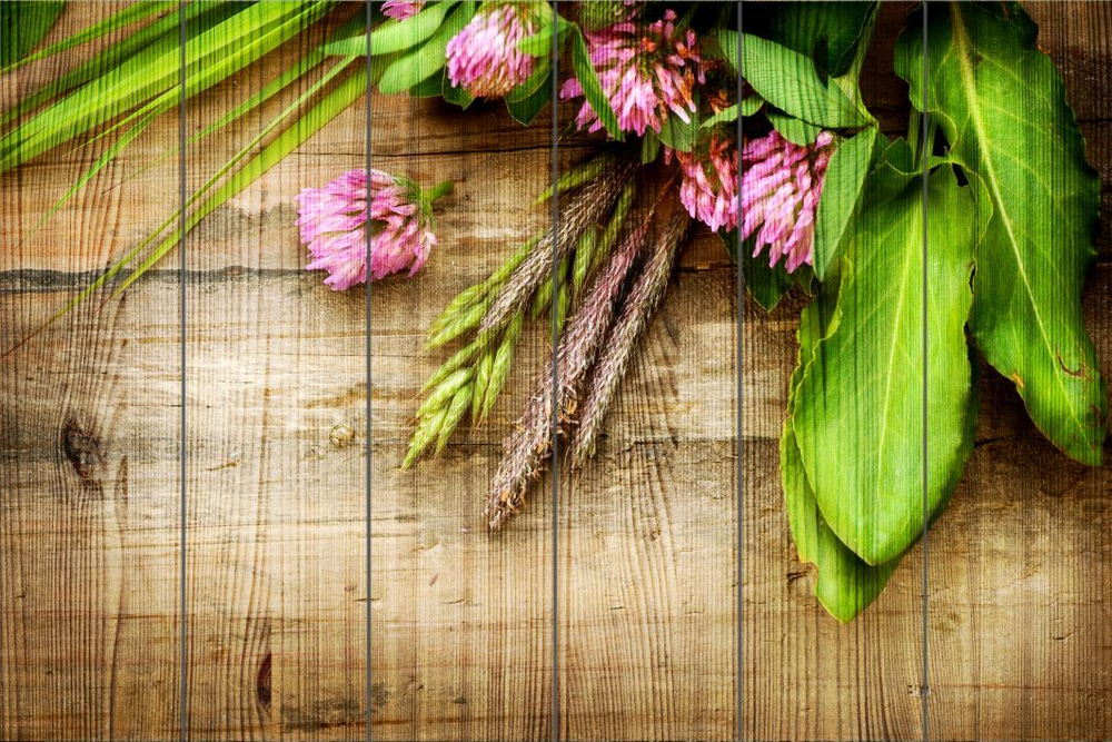 Панно из дерева Herbal Background Herbs over