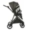 Прогулочная коляска Pituso Carbon Rx Tuareg Beige Gold