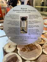 Капля древнего моря Тюмени
