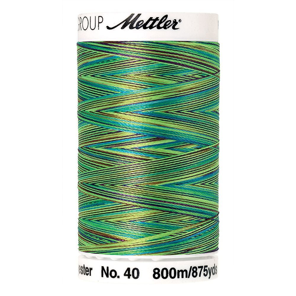 Нить вышивальная Mettler Poly Sheen Multi #40 (800 м), 5 кат. | цв. 9971