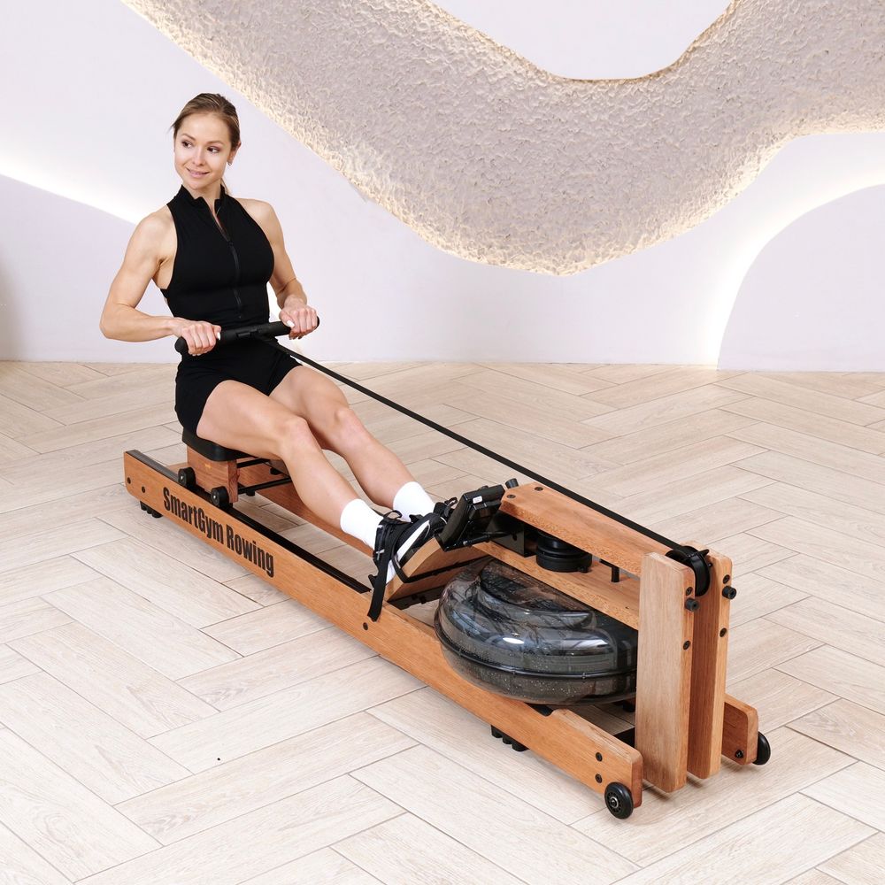 Гребной тренажер DFC SmartGym WR-02