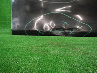 DSCN7732.JPG