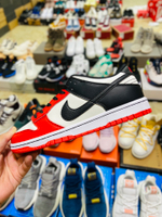 Nike Dunk Low "EMB NBA 75th Anniversary Chicago"