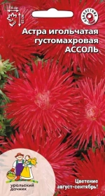 Семена Астра игольчатая густомахровая Ассоль (УД) Е/П
