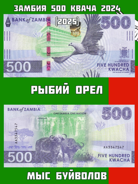 Замбия 500 квача 2024 (2025) Мыс Буйволов UNC