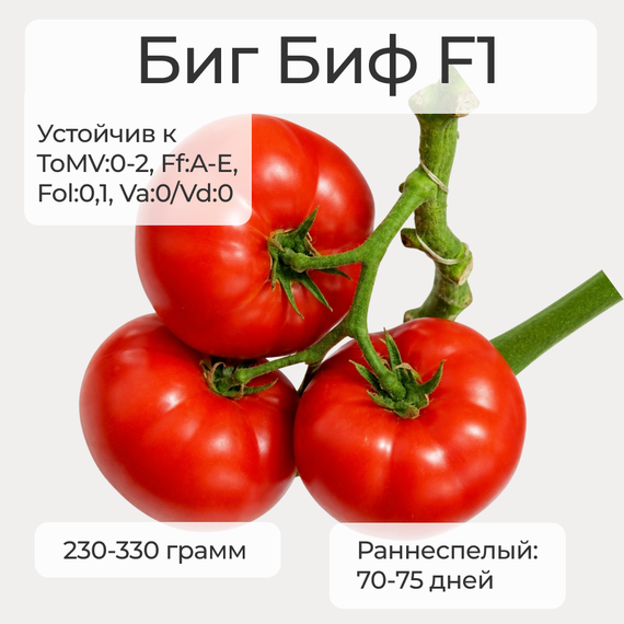 БИГ БИФ F1 семена томата (Seminis | Alexagro) – фото 1