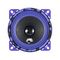 DL Audio Piranha 100 V.2