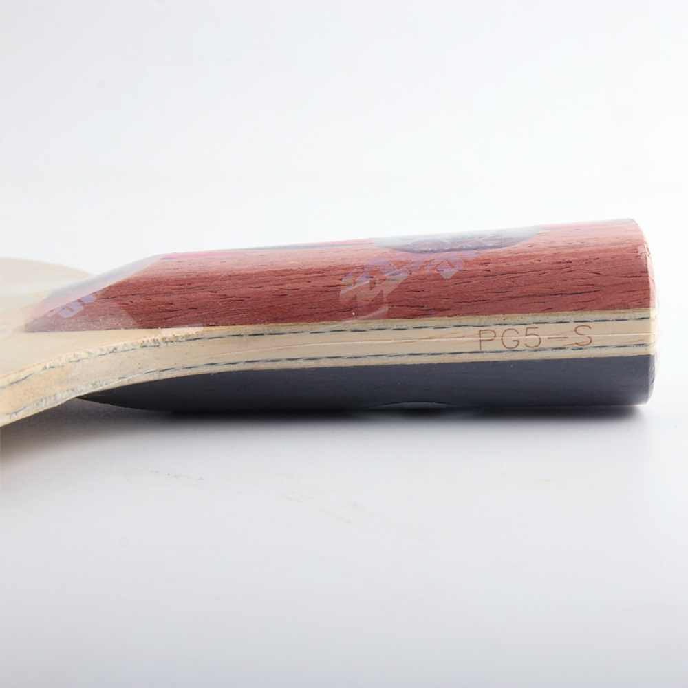 DHS PG-5 New from Ma long