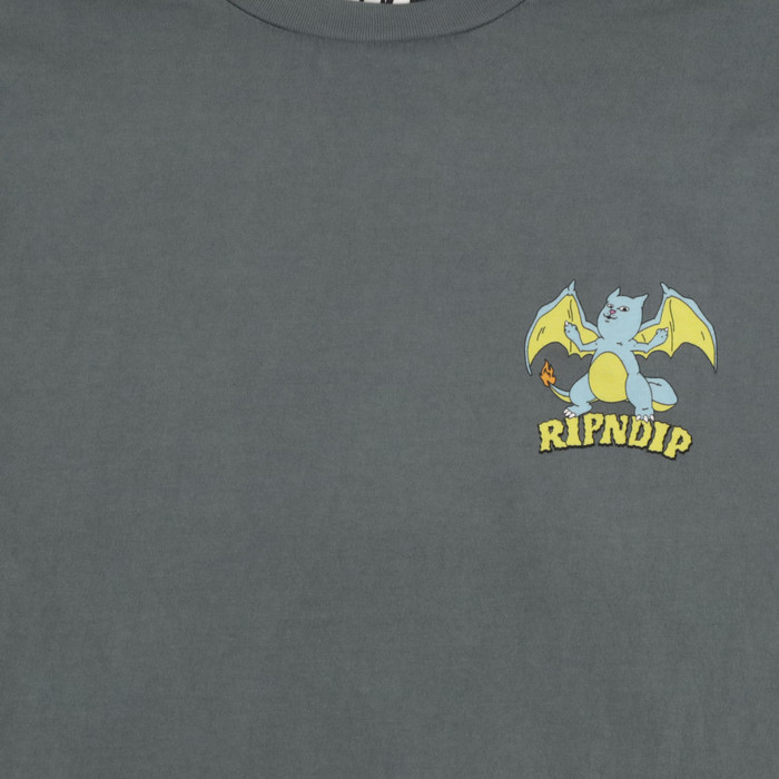 Футболка мужская Ripndip Charanerm артикул:RND9950 - купить в магазине Дайс