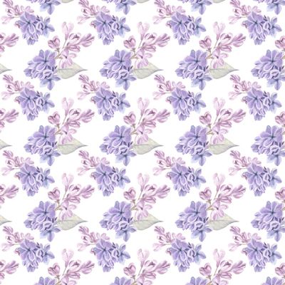 Садовая сирень на белом / Garden lilac on white