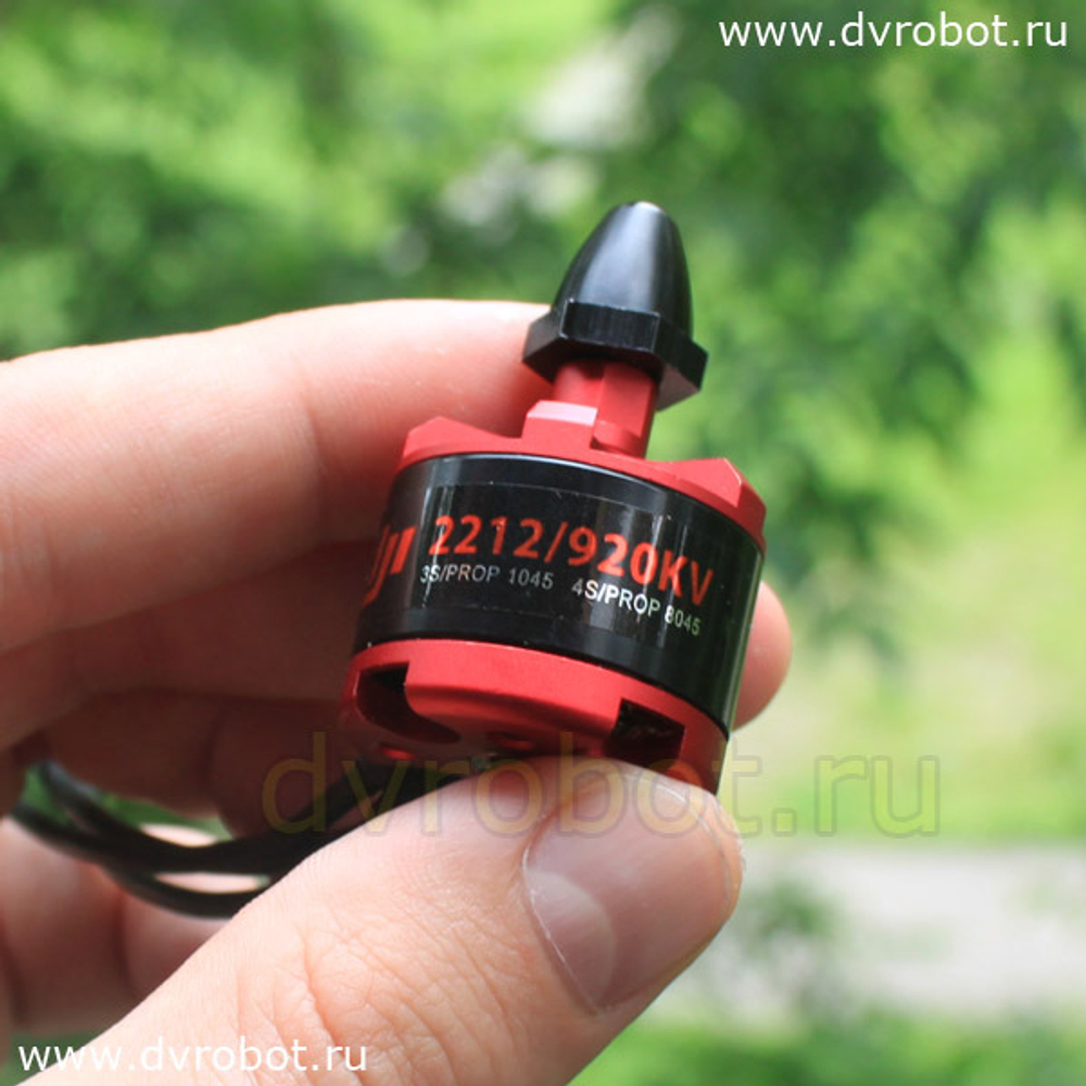 Мотор DJI 2212/920KV - CW