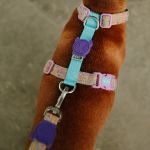 Поводок UFO 120 см Zee.Dog