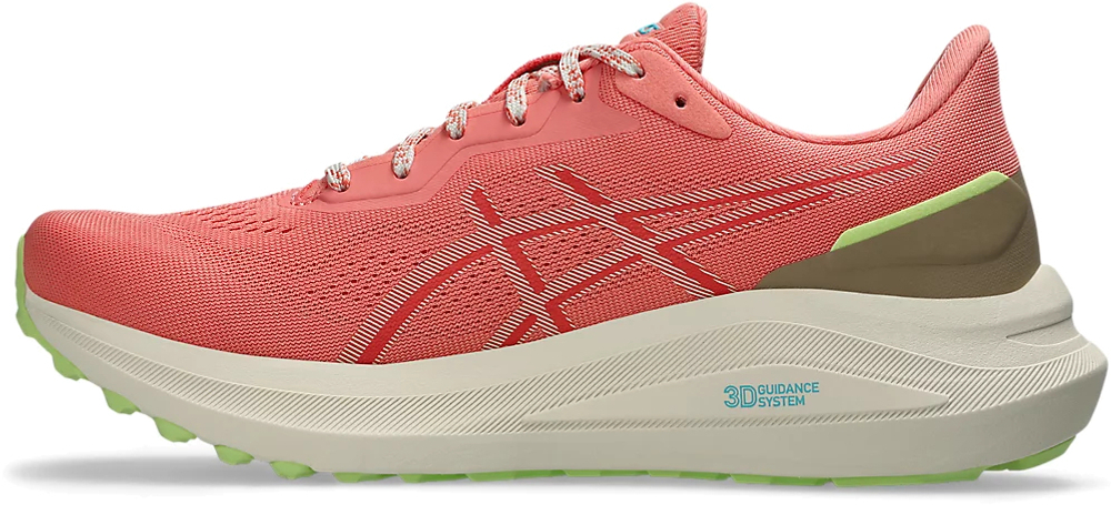 Кроссовки Asics GT-1000 13 TR W