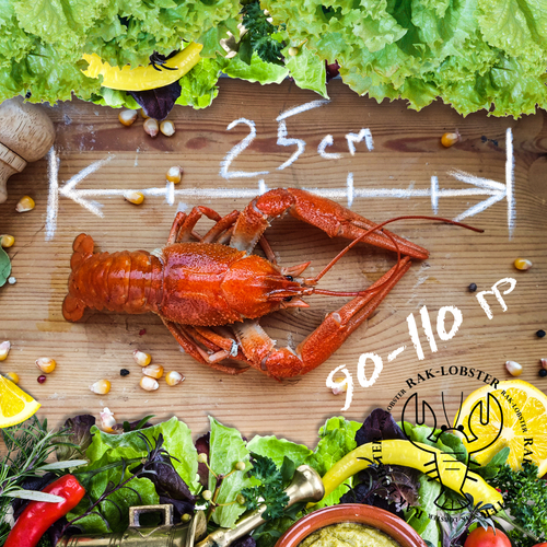 Свежие вареные раки 90-110, Отборные, крупного размера