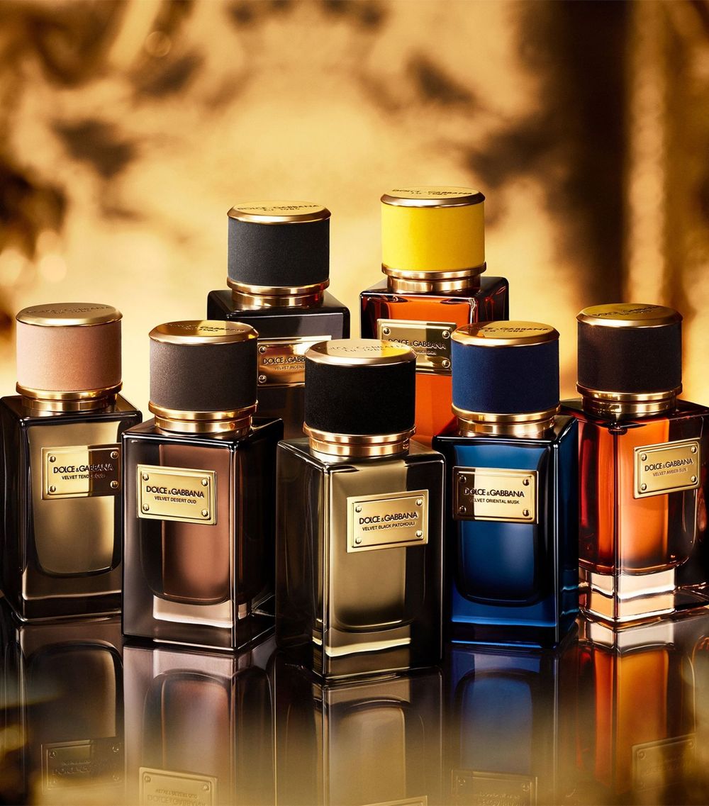 Dolce and Gabbana Velvet Black Patchouli