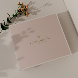 Постельное белье 2 спальное евро макси Luxe Dream Плаза Лайт