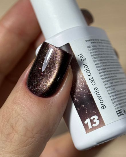 Brownie cat color gel 10g 13 Iperfect