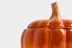 Кружка 450мл с крышкой Anna Lafarg Bright pumpkin Тыква оранжево-зеленая