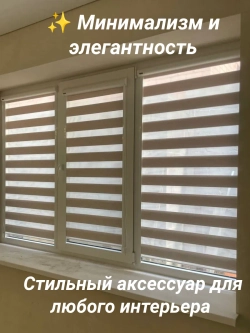 Рулонные шторы День-Ночь 60х160 см