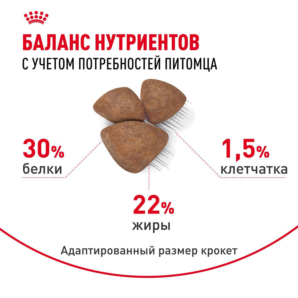 Royal Canin Mini Starter Мини Стартер Корм сухой для собак мелких пород в конце беременности в период лактации для щенков до 2-х месяцев 1кг