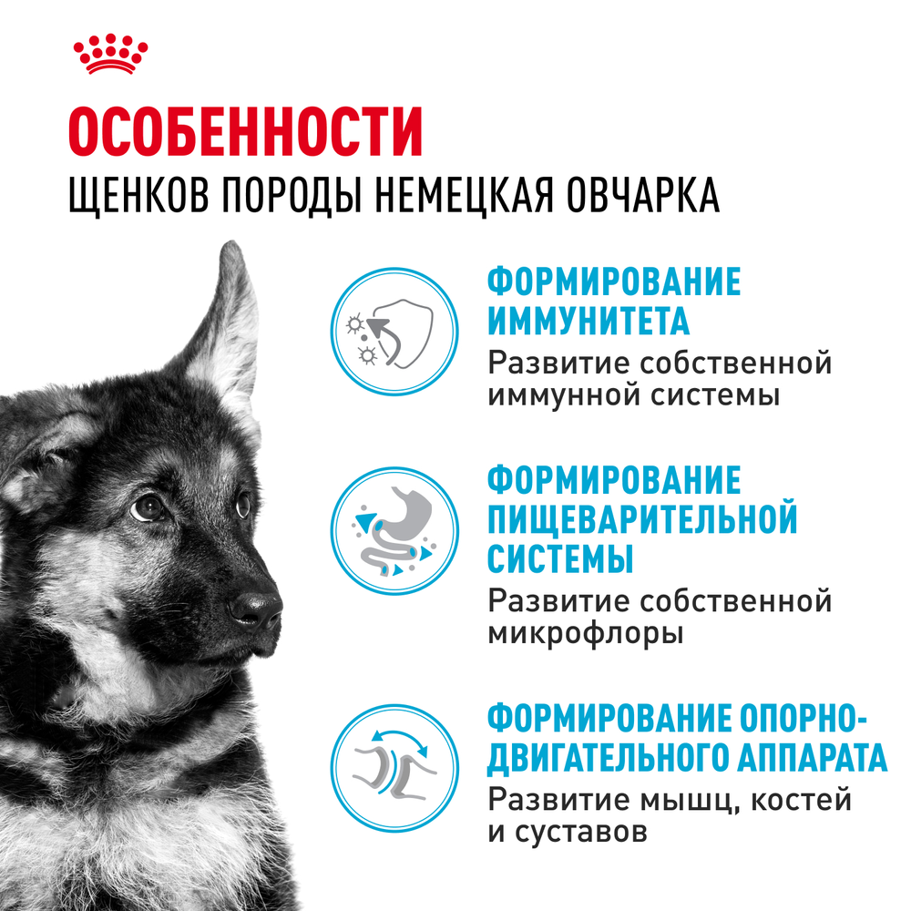 Royal Canin German Shepherd Puppy Немецкая овчарка Паппи Корм сухой для щенков породы Немецкая овчарка до 15 месяцев 3кг