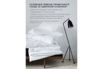 Одеяло GoodNight Organic бамбук/микрофибра 300 гр/м2 2 сп. (172х205)