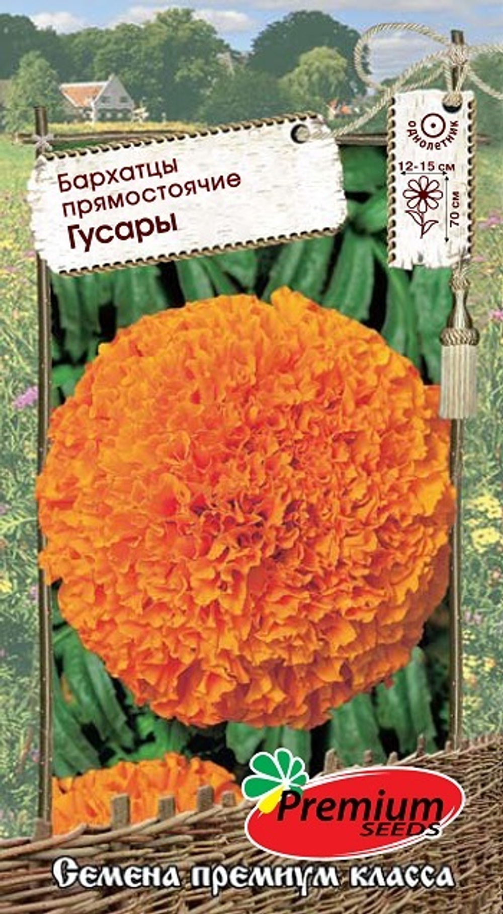 Бархатцы прямостоячие Гусары