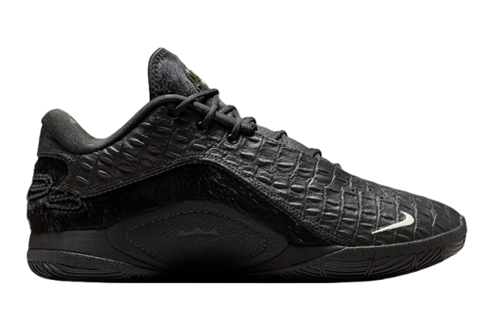 Купить в Москве LeBron 22 Black Label