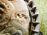 DSCN5574.jpg