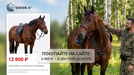 Честная цена производителя: Экономьте до 50% без потери качества.