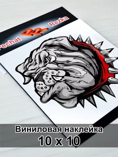 Наклейка - Бульдог в ошейнике