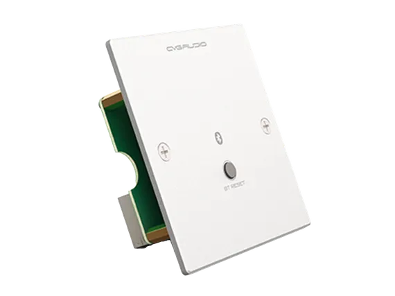 CVGAUDIO PW-BT/W