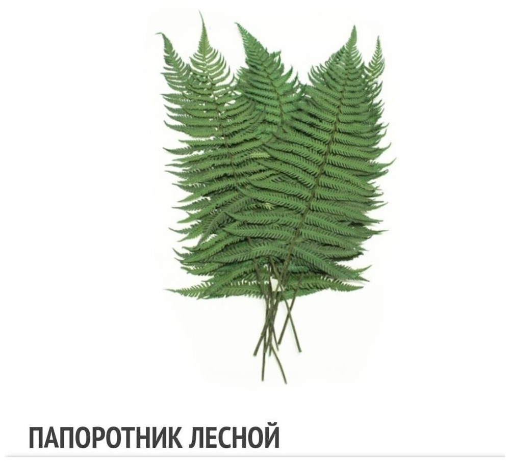 Комбинированное панно из мха ягеля, пластового и кочек