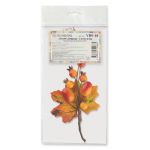 Декоративные элементы, 6 шт, 01 осенний букет, Blumentag VDF-10