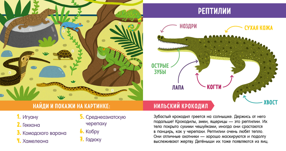 Книга "Найди и покажи, малыш. В мире животных" о 79 видах зверей