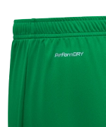 Шорты игровые DIVISION PerFormDRY Union Shorts, зеленый