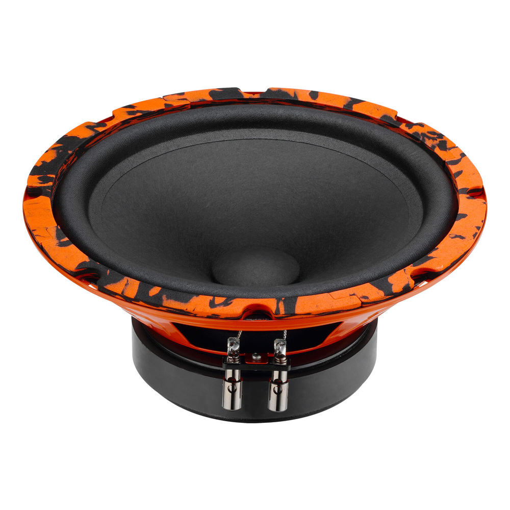 GRYPHON PRO 200 MIDBASS