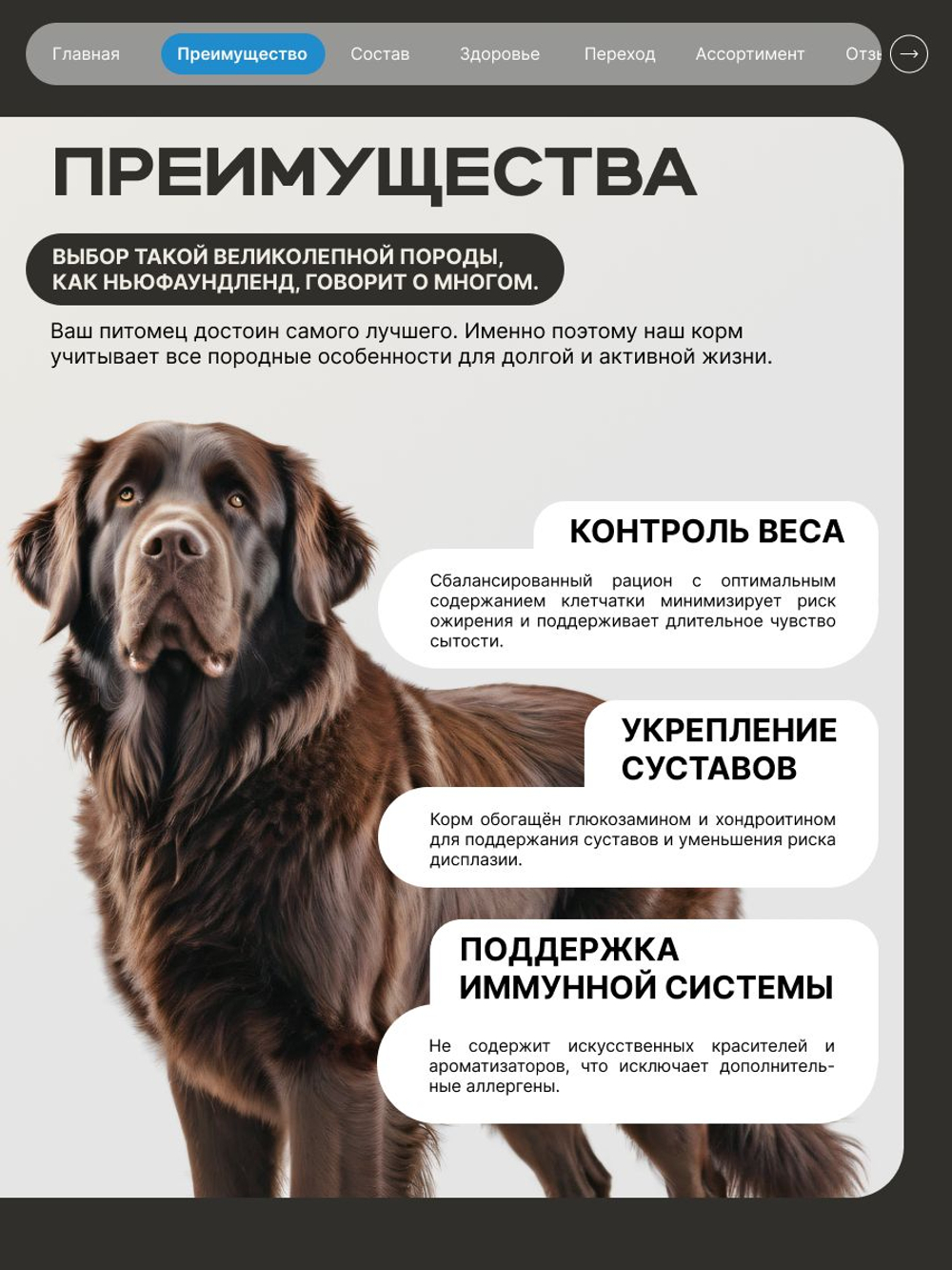 Корм сухой для взрослых собак породы Ньюфаундленд, премиум полнорационный комплекс, с лососем, 12 кг, QUATTRO