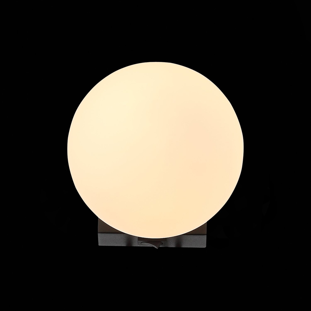 Светильник настенный ST Luce Botelli SL1581.401.01