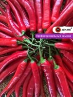 Перец острый Кайзер F1 (18шт.)