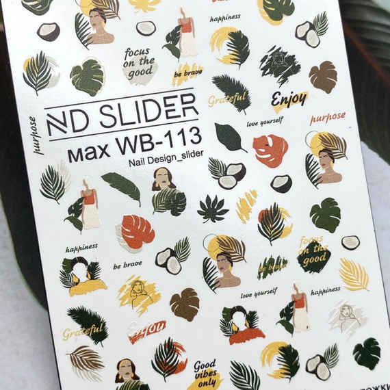 Max WB-113