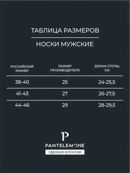 Носки мужские Pantelemone PN-100 (10 пар),темно-серые (27)