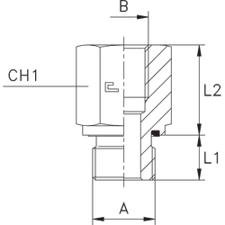 Соединение PFE BSP 3/4 - BSP 1.1/2