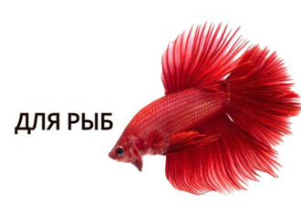 Рыбы