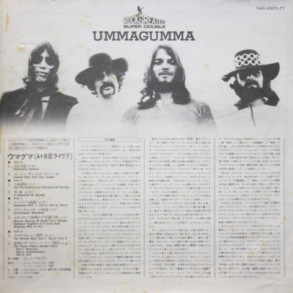 Pink Floyd / Ummagumma (2LP)