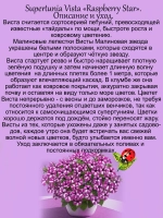 Петуния Малиновая Звезда Супертуния Расберри Стар