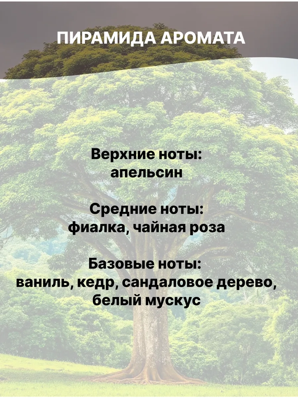 Отдушка Цейлонское дерево 50 гр