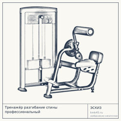 Тренажёр разгибание спины профессиональный — от 215 000 ₽